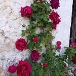 Janja Međugorje