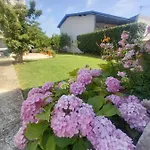 Janja Međugorje