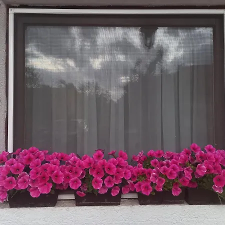 게스트하우스 Janja