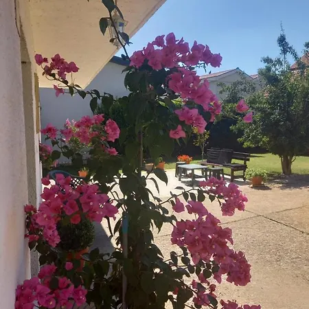 Janja Guest house Medjugorje