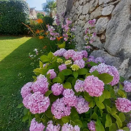 Janja 게스트하우스 3*