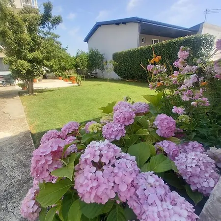 Janja Medjugorje