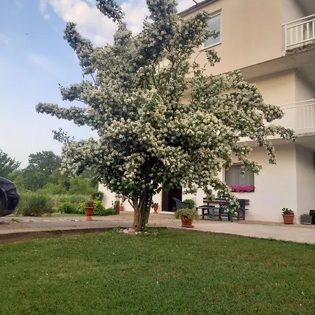 Guest house Janja