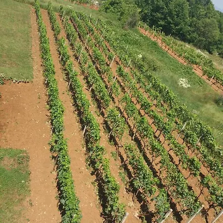 게스트하우스 Janja 3*