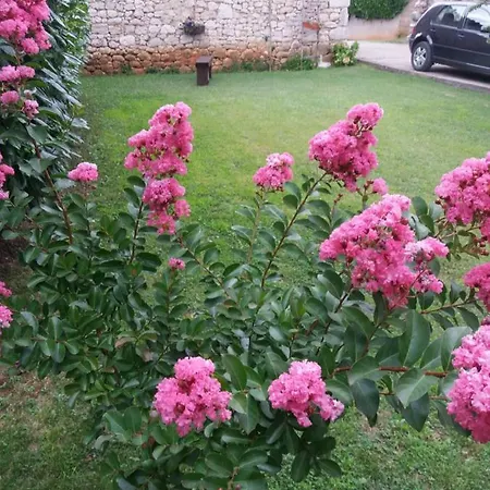Pensjonat Janja Međugorje