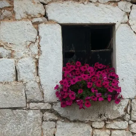 게스트하우스 Janja Međugorje